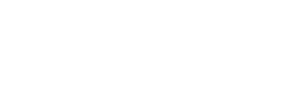 成都舜王科技有限公司 Logo